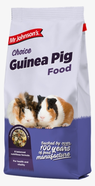 Feeding Advice And Petcare Advice For Guinea Pigs #7313997