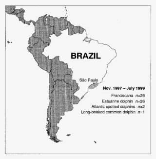 Map Showing The Location Of Cetaceans Incidentally #7314000