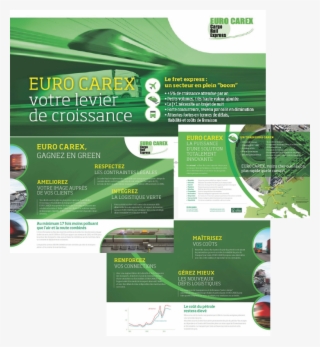 Euro Carex #7314669