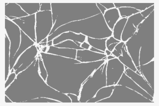 Full Shatter #7315298