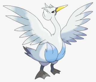 19,542,000 Exp #7319496