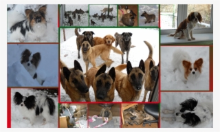 22 Pm 45317 Captain Oreo 6/16/2012 #7321238