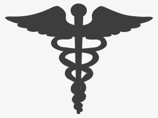 Download Png #7325724