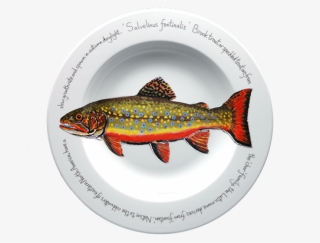 Brook Trout Rimmed Pasta Bowl #7329713
