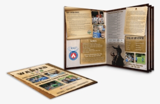 Camp Brochures #7331042