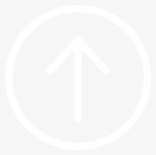 Echo Icon - White #7331779