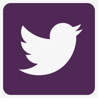 Twitter - Purple #7331992