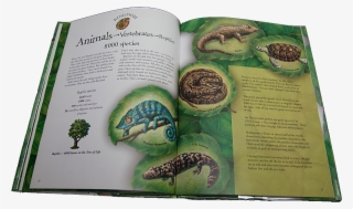 Species Children's Book Review #7334853