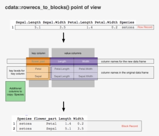 Rowrecs To Blocks #7335104