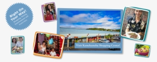 Banner #7336328