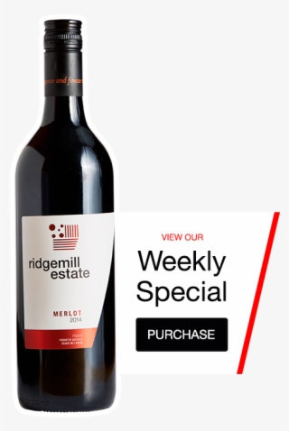 Michelle Feenan-cooper, Owner Lover Of Learning, Queensland #7337635