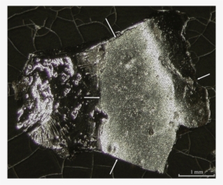 Fractured Surface Of An Irghizite Fragment #7338340 Fractured Surface Of An Irghizite Fragment #7338340