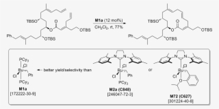 Florian Glaus, Darija Dedic, Priyanka Tare, Valakunja #7340390