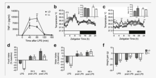 Ll Rats Produced More Tnf Α And Showed Increased Sickness #7340508