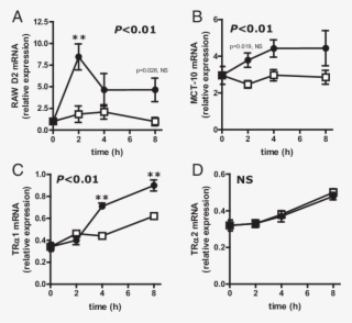 Relative Expression In Raw264 #7341831