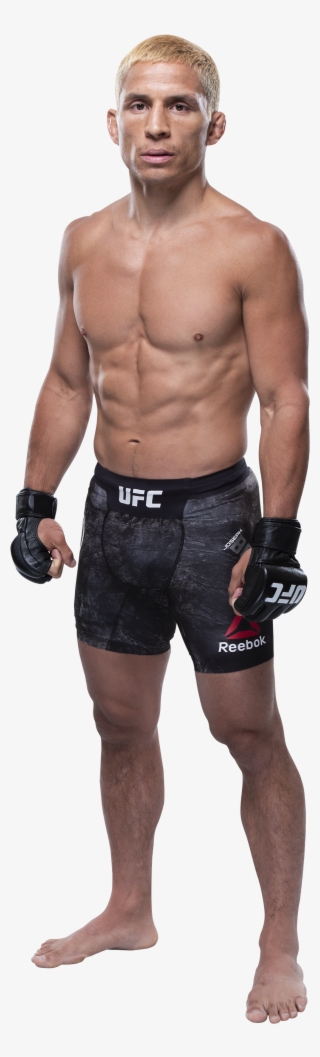 Ufc Belt Png #7343232