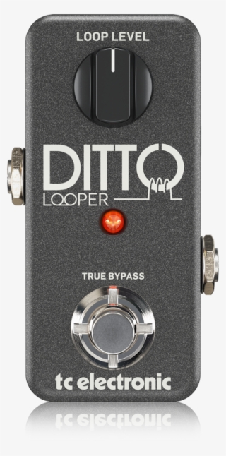 Tc Electronic Ditto Looper Highly Intuitive Looper #7348914