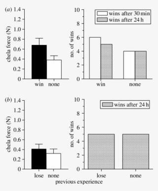 Winning A Previous Fight Did Not Lead To Increased #7350199
