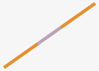 Bo Staff #7351810