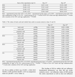 Phagocytic Activity During Experiment In Rabbits #7354552