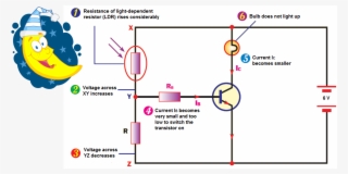 Mlm Not Light Up Transistor #7354853