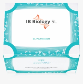 Flashcards Png #7355598