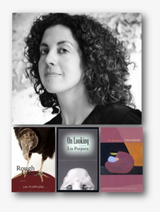 2016-2017 Visiting Writers #7361339