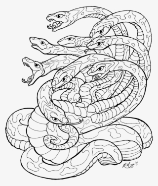 Naga Drawing Headed #7362444