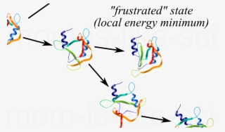 Your Mom Is Like A Protein Folding Intermediate #7365777