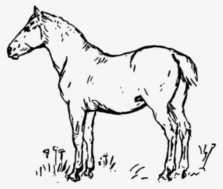 Dibujos De Caballos #7368093