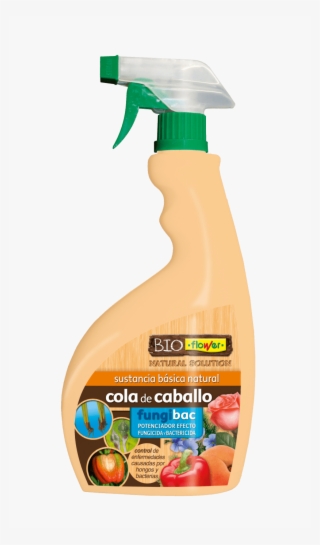 Cola De Caballo Listo Uso #7368192