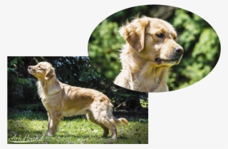 Chloey's Parents #7370140