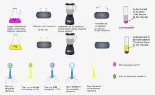 File - Hersheychase #7371055