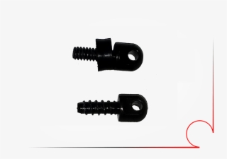 The Young Scientist Club Magic School Bus Secrets Of #7372974