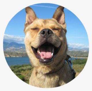 Bodie-grin #7372976