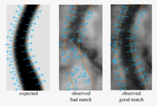 Illustration Of Likelihood Computation And The Partial #7378195