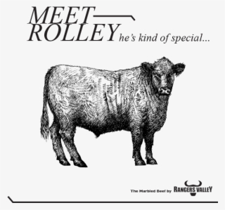 Rolley Is Pure Black Angus, Black Onyx Beef #7378733