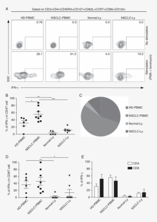 Hd Pbmcs , Non Small Cell Lung Cancer (nsclc) Pbmcs #7381598