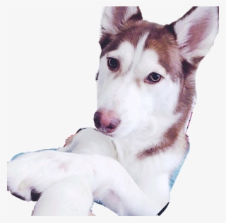 Yuna Png #7381990