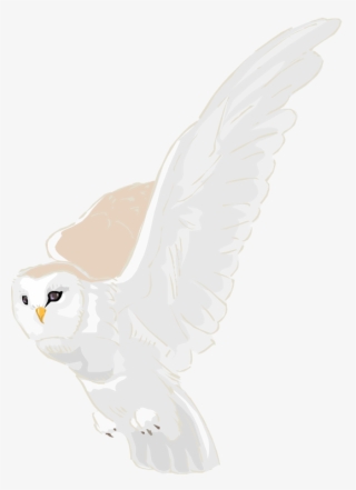 Snowy Owl Clipart Owl Wing #7382383