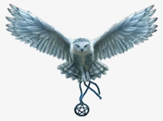 Snowy Owl Png #7382435