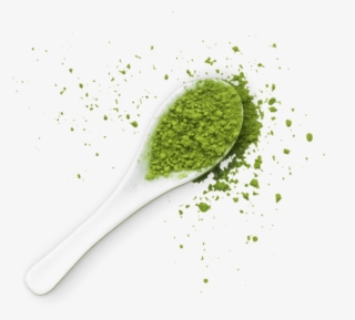 Plato Chic Superfood Home #7384159