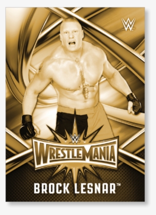 Brock Lesnar 2017 Wwe Road To Wrestlemania Wrestlemania #7386051
