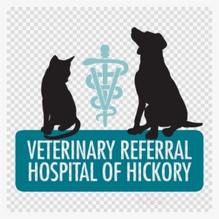 Veterinary Medicine Clipart Cat Dog Veterinary Referral #7388939