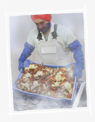 Our Facilities Are Haccp Accredited And We Continue #7389419