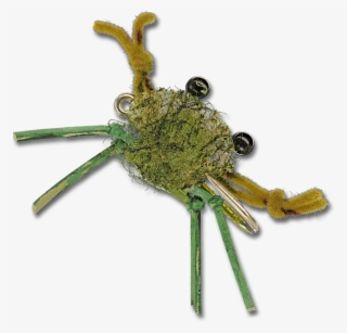 Contraband Crab - Olive #7389736