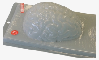 Brain / Cerebro #7390250