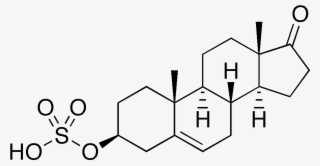 Steroids Png #7391057