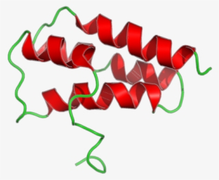 Kys Png #7392243