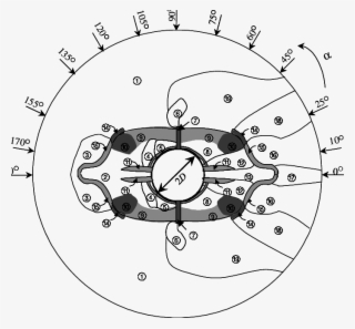 The Regions Marked By Shadows Are Multistable Flow #7392549